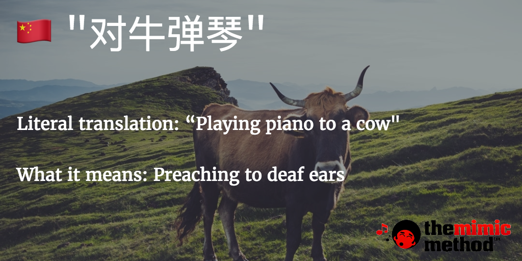 mandarin-idioms-the-mimic-method